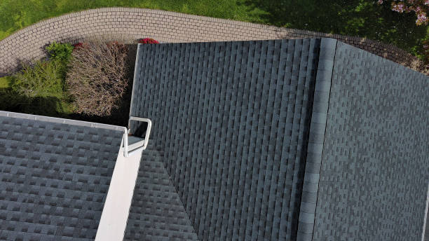 Best Roof Coating and Sealing  in Belle Haven, VA