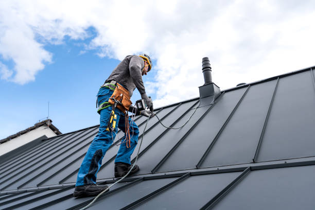 Best Gutter Installation and Repair  in Belle Haven, VA